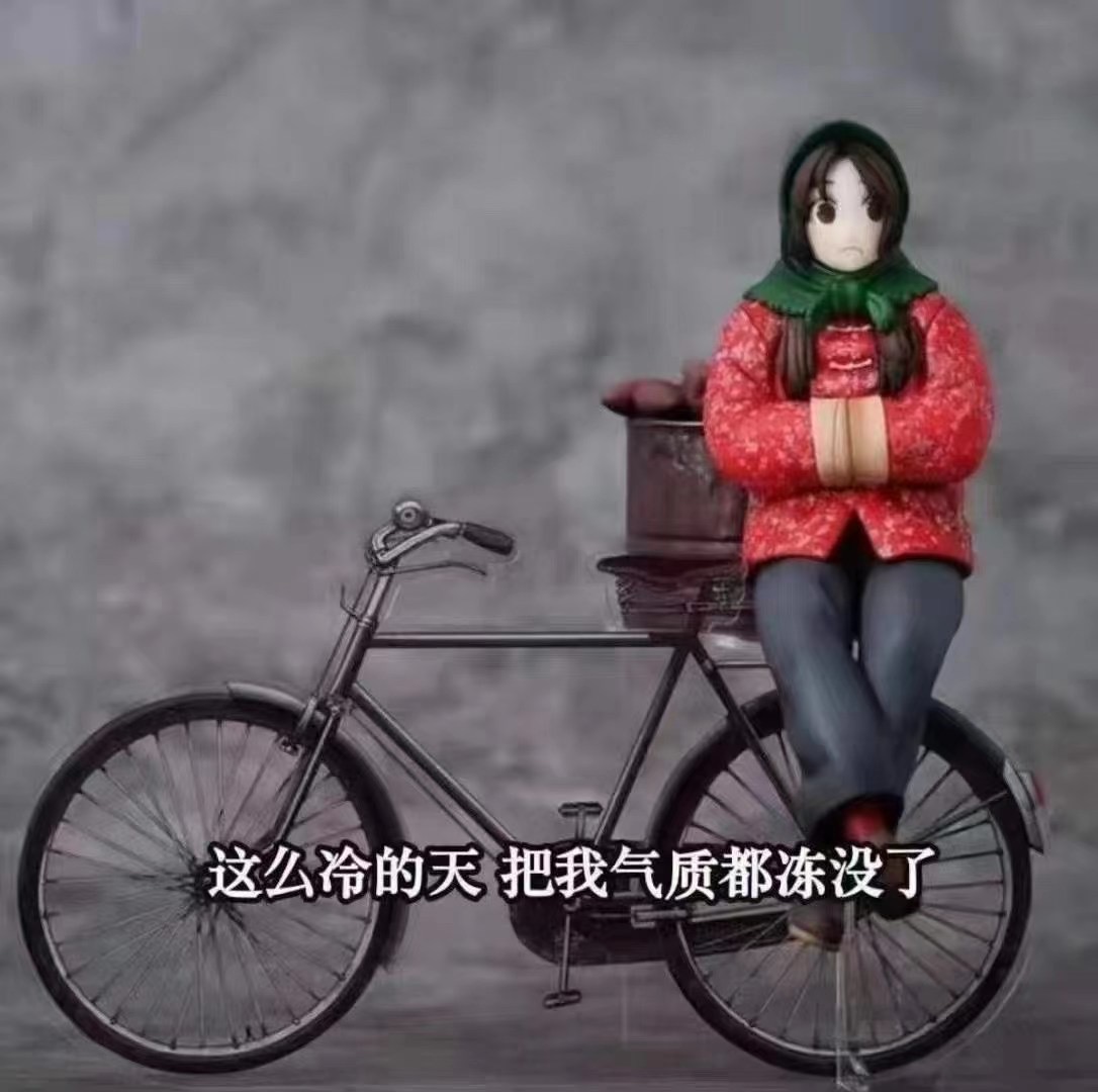 这么冷的天 把我气质都冻没了